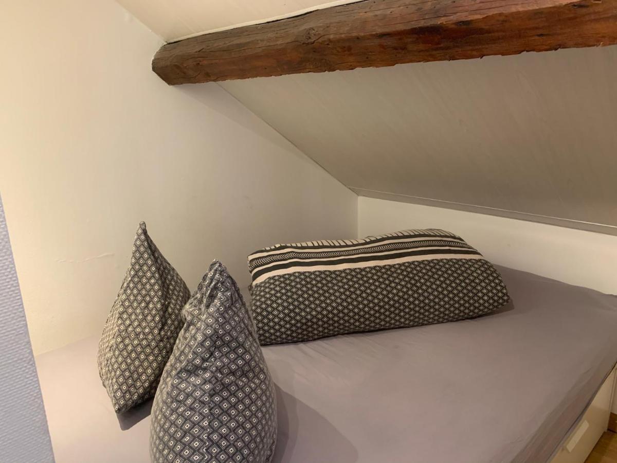 Apartament Le Duplex Cosy - Gare & Cite Gastronomique Dijon Zewnętrze zdjęcie